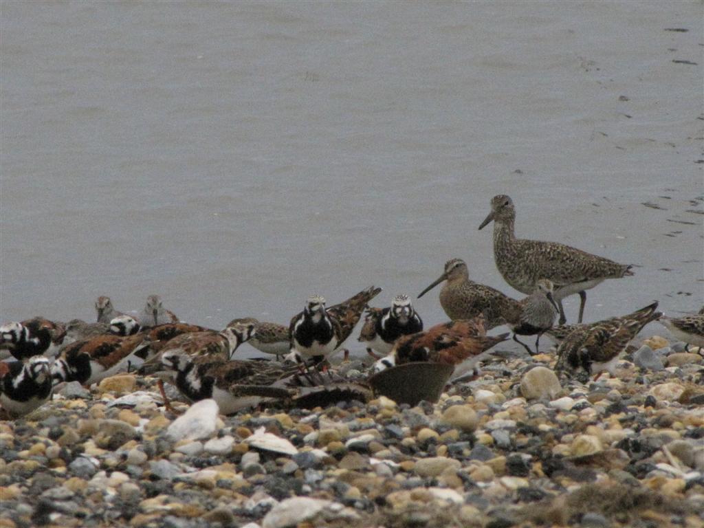 [IMG_1846+(Large).JPG]