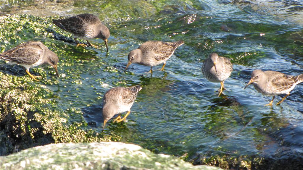 [IMG_7103+(Large).JPG]