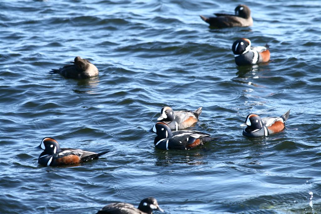 [IMG_2384+(Large).JPG]