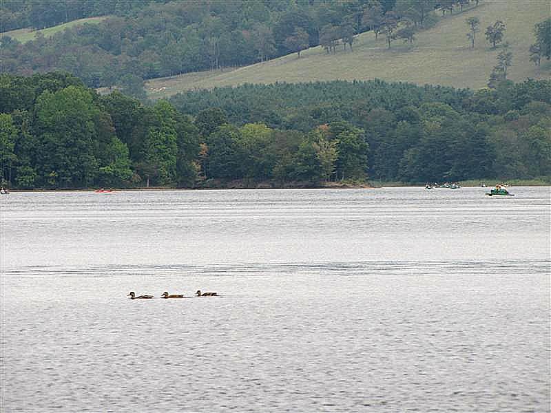 [IMG_4519+(Medium).JPG]