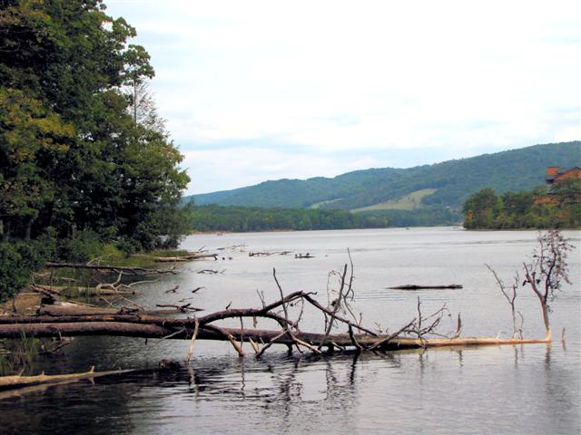 [IMG_4518_1+(Small).jpg]