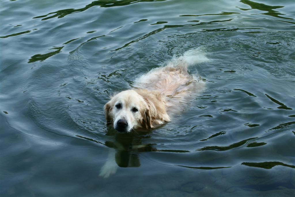 [IMG_6057+(Large).JPG]