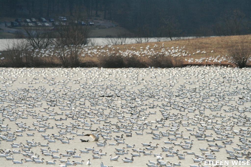 [IMG_1653+(Large).jpg]