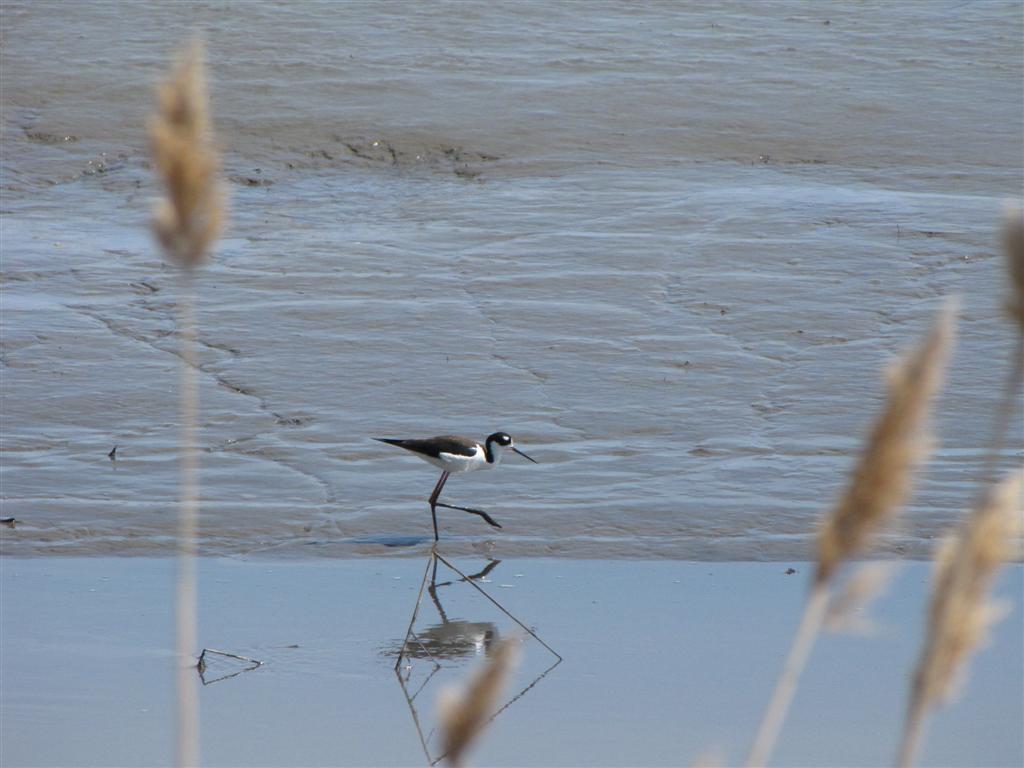 [IMG_0999+(Large).JPG]