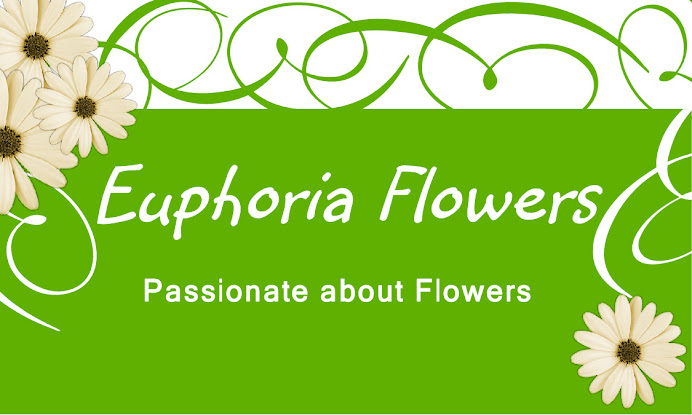 Euphoria Flowers