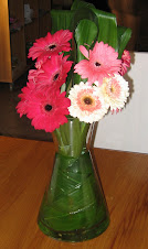 Gerbera Delight