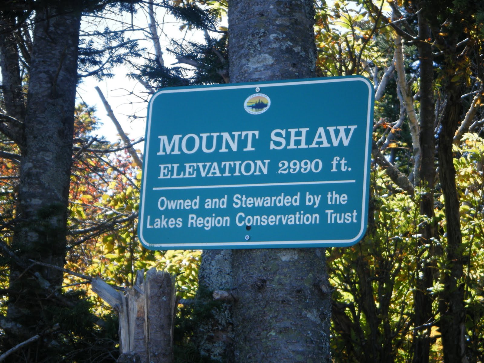 [Mount+Shaw+and+Blacksnout+019.jpg]