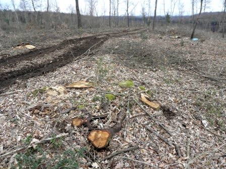 Altra Calcata… altro mondo Faleria 