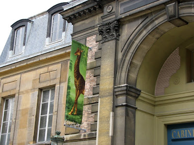 A giraffe banner at the the Cabinet d'Histoire, Jardin des Plantes, Paris