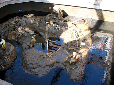 Model tar pit with model fossils, San Deigo Zoo