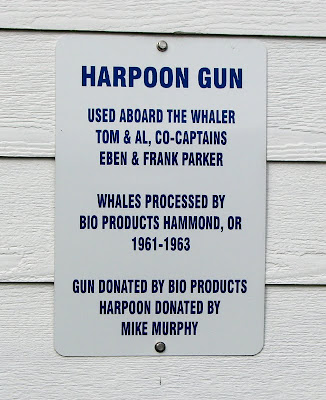 The sign says, Harpoon gun used aboard the whaler Tom and Al, co-captains Eben and Frank Parker. Whales processed by Bio Products Hammond, OR 1961-1963. Gun donated by Bio Products, Harpoon donated by Mike Murphy.