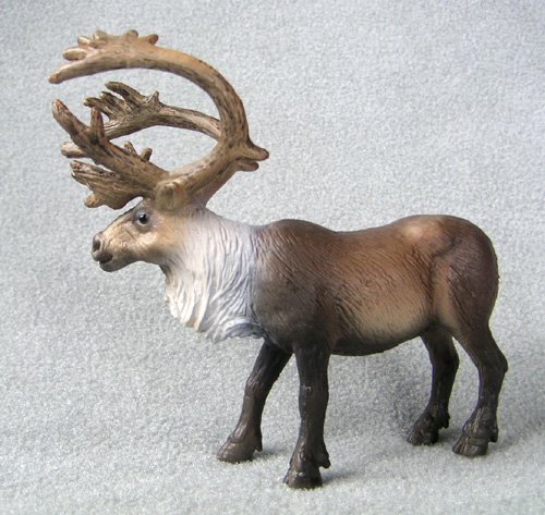 [reindeer-caribou-bull-plastic-f1486.jpg]