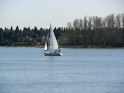 A sailboat on the Columbia River