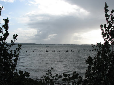 Youngs Bay, Astoria, Oregon