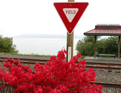 Railroad Tracks and Scarlet Fall Foliage