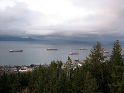 Ships on the Columbia River from the Astoria Column, Astoria, Oregon