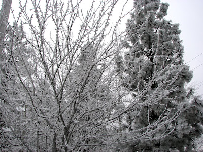 Winter in Bend, Oregon