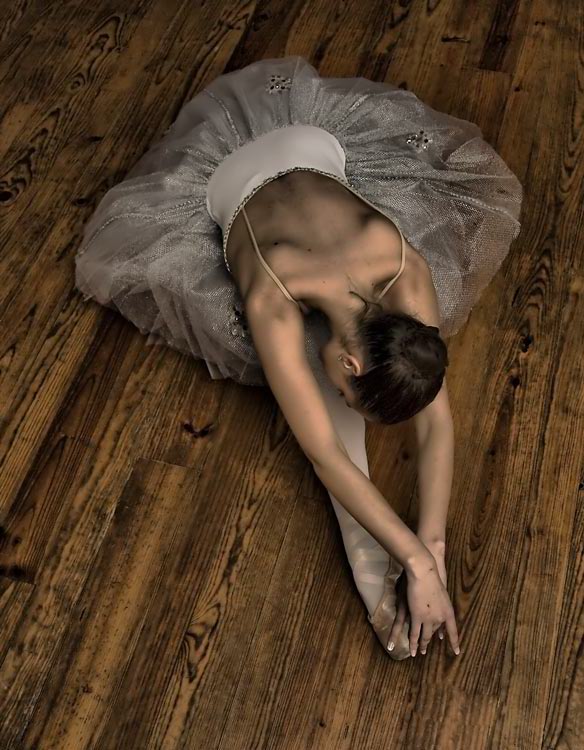 [antonio+manuel+pinto+da+silva.jpg]