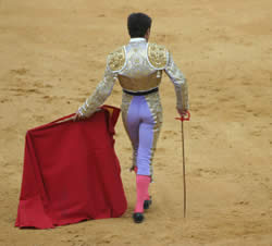 Acquisitions of an Aesthete: Matador Suit of Lights