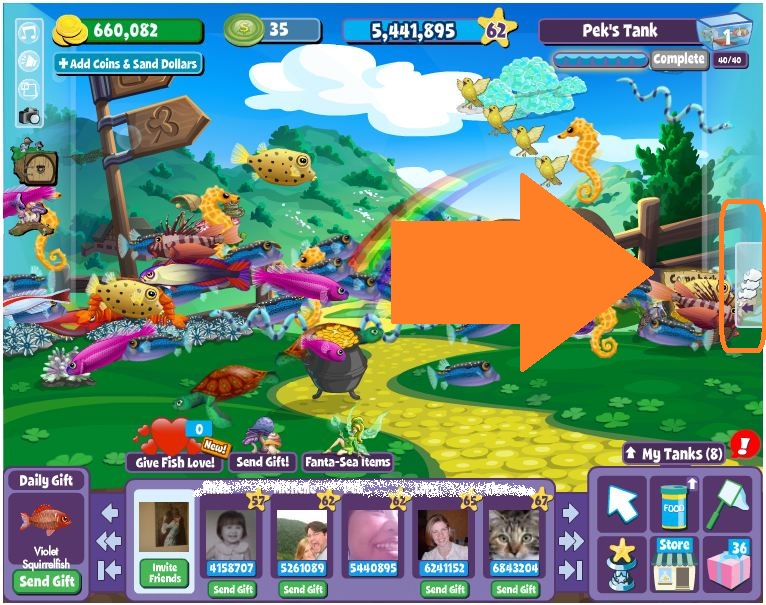 Lynspirations: FishVille - Fish Mastery : Family Types (Part 1)