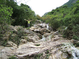 north dragon stream