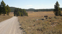 Toward the eastern end of Henness Pass Road (Sierra County)