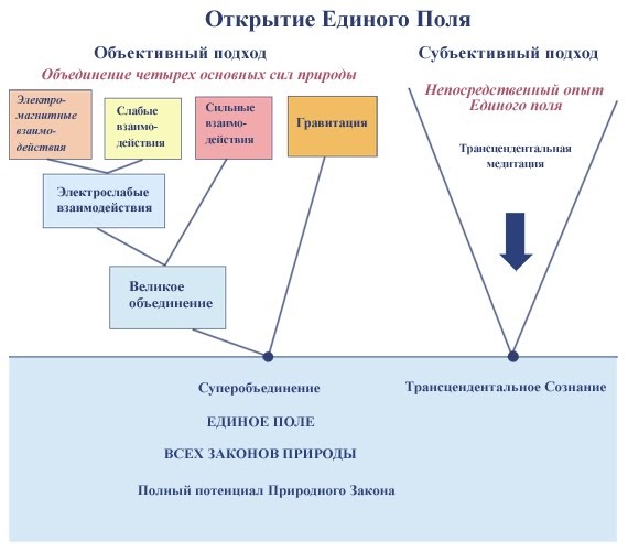 Единое поле информация