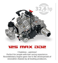 Rotax DD2 Engine 125 cc 2T