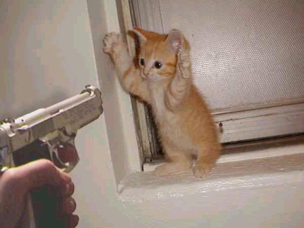 [violencia3.jpg]