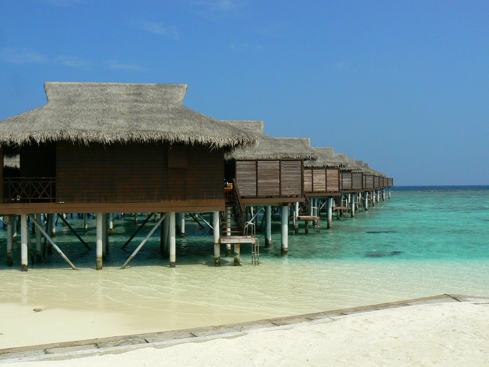[P1920066.JPG]
