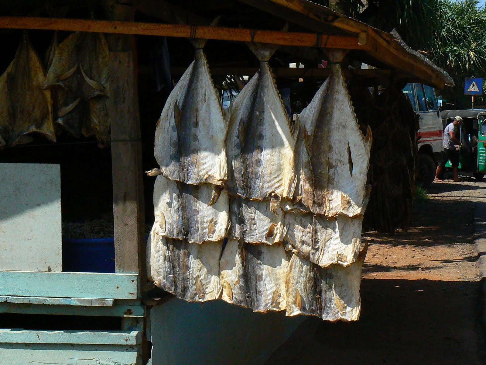 [P1930996.JPG]