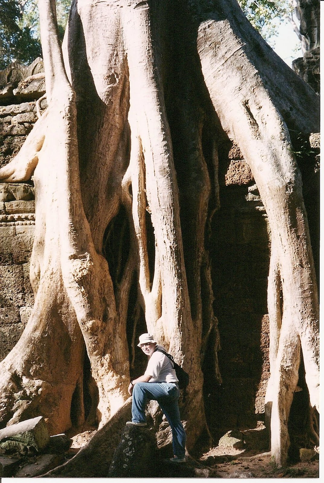 [5.+Copacii+Angkorului.JPG]