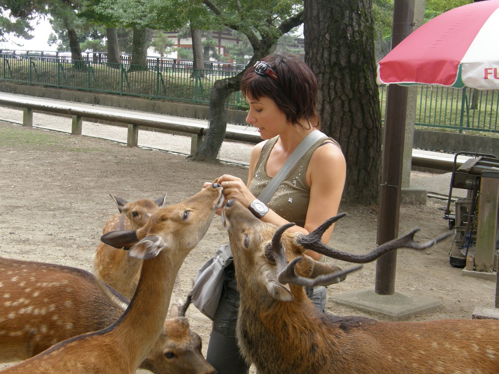 [10.+Nara.JPG]