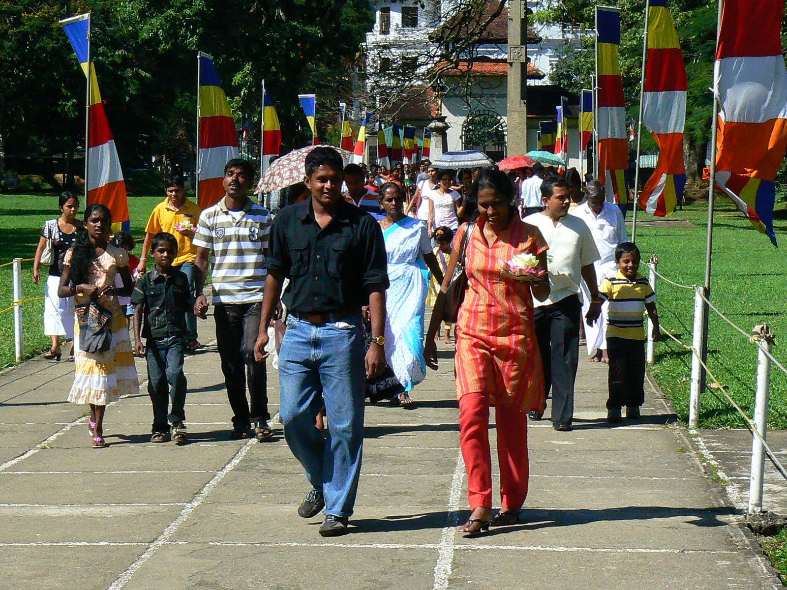 [P1860340.JPG]