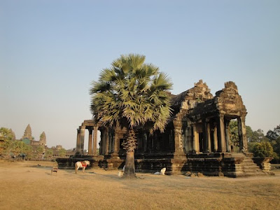 Imagini Angkor Wat: templu khmer