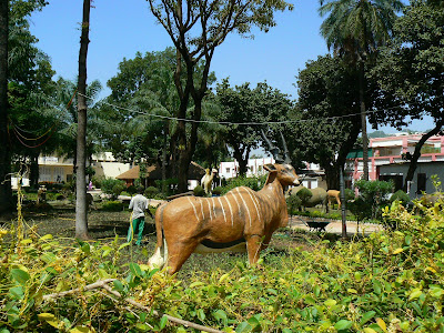 Imagini Mali: statui de animale in Bamako