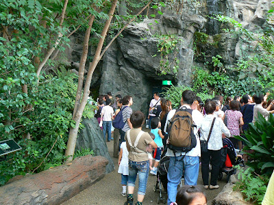 Imagini Japonia: Aquarium Osaka Jungla ecuatoriala