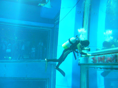 scafandru in acvariu