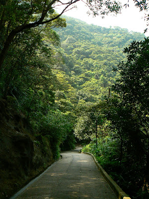 prin parcul de sub Victoria Peak