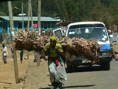 Imagini Etiopia: caratoarele de lemne Entoto -  Addis Ababa