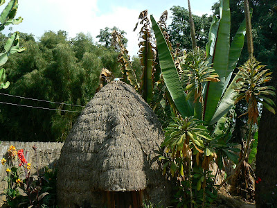 Obiective turistice Etiopia: coliba Dorze