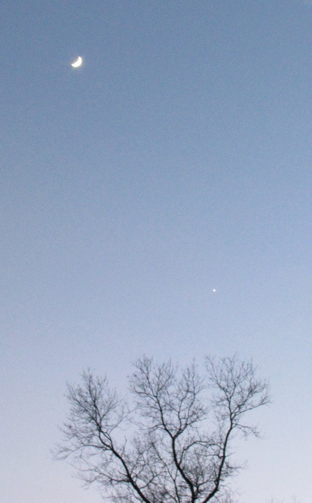 [New+Years+Moon+&+Venus.jpg]