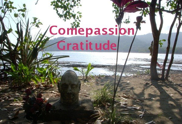 Comepassion Gratitude