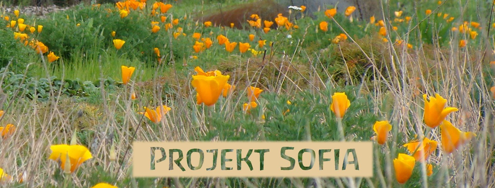Projekt Sofia