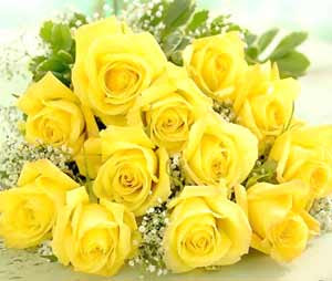 Yellow+Roses+2.jpg