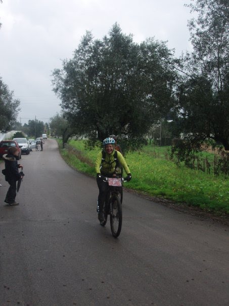 [Chegada+Besouros.bmp]