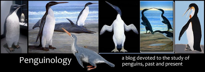Penguinology