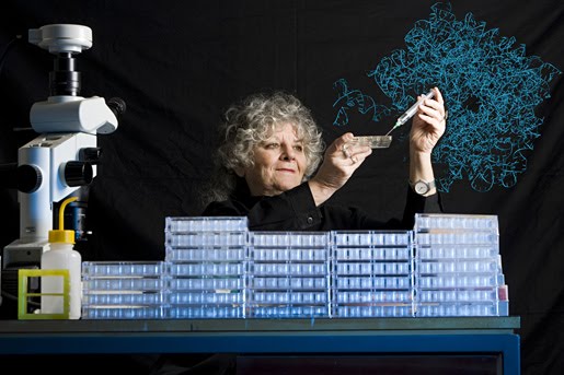 [yonath_crystallization_photo.jpg]