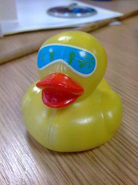 [yellow+duck.jpg]
