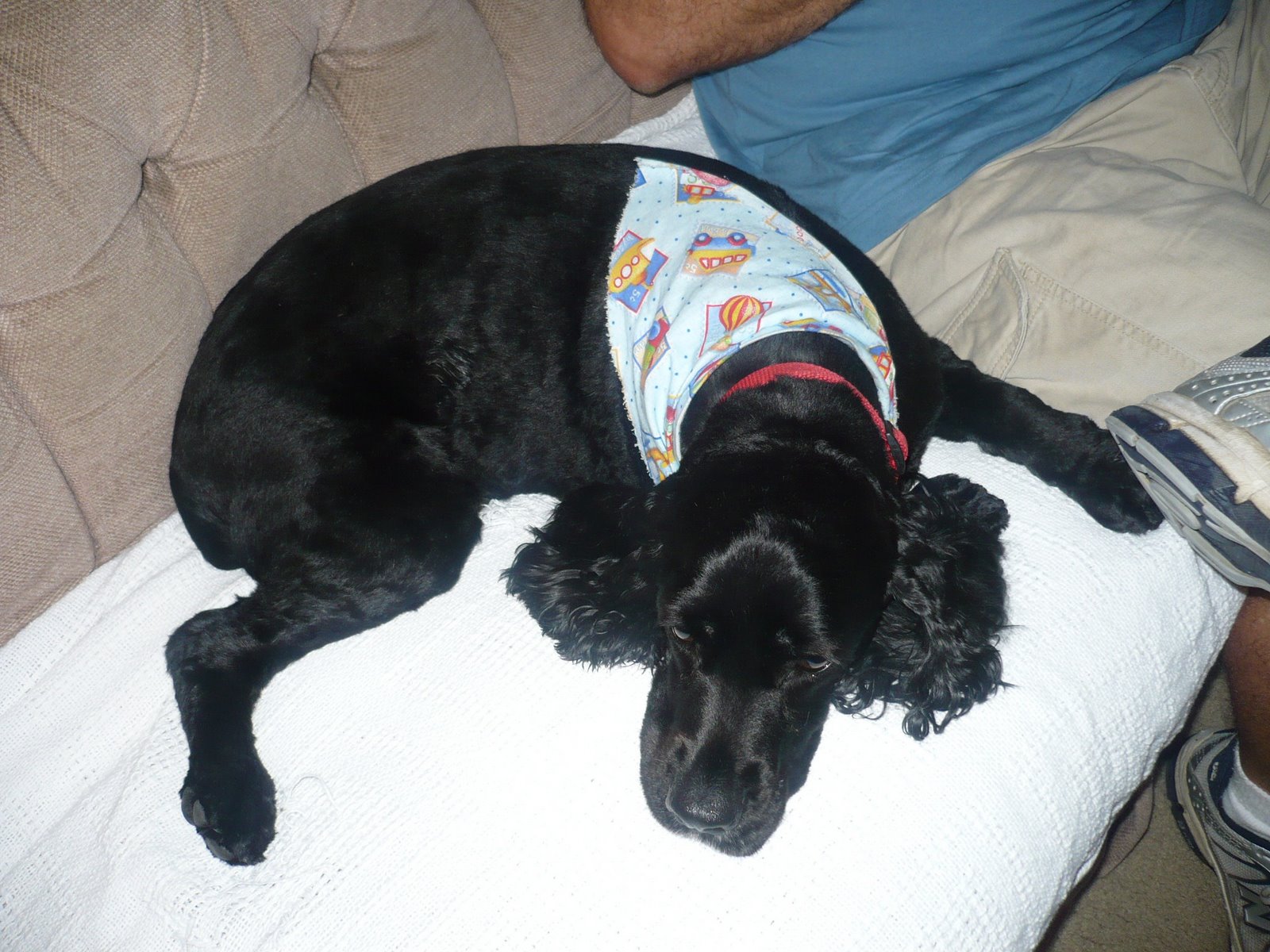 [ColbyAug08+009.jpg]